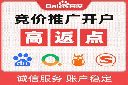 网络推广策略：竞价广告的实践案例