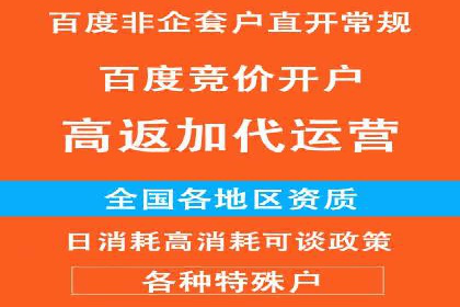 SEM竞价优化案例：品牌曝光与转化双提升